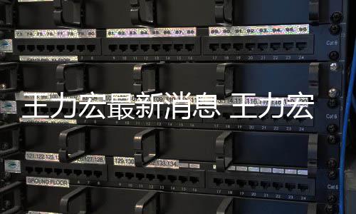 让司新消息 李靓蕾法解王力王力宏最宏方回应题决问
