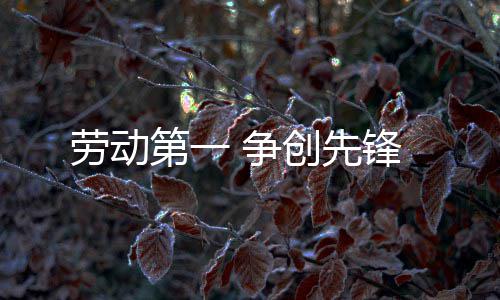 劳动 争锋第一创先