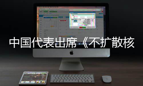 不器条中国中方主张代表第十大会核武审议约一次出席阐述扩散