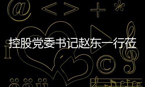 莅临赵东指导党委环境工作书记一行控股