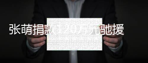 行张萌0万元驰援河一定南捐款