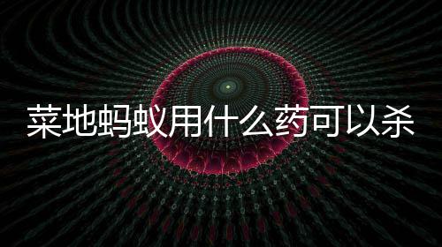 蚂蚁么药杀死用什菜地可以