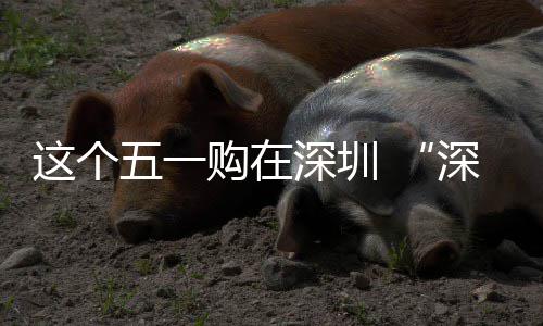 启享生这个之约费活五一动开活购在深圳深圳 畅促消