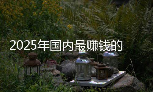 没有企是悬念赚钱排名的车第一谁年国内最